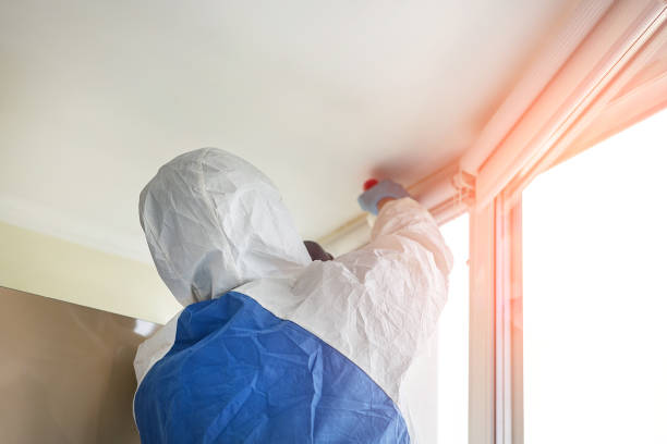 Mold Odor Removal Services in Galena, IN